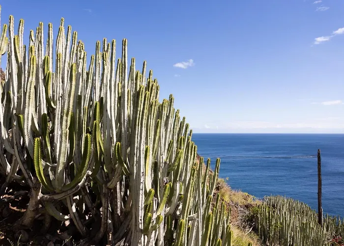 Fantasticas Vistas Al Mar, Playa Y Piscina *